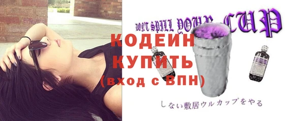прущая мука Галич