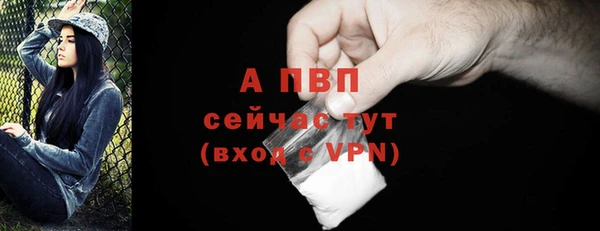 Альфа ПВП Гвардейск