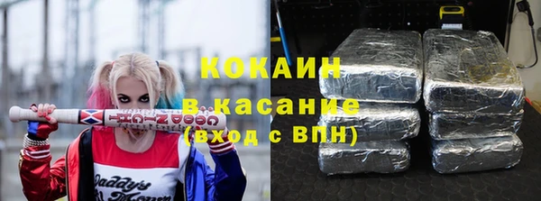 apvp Гатчина
