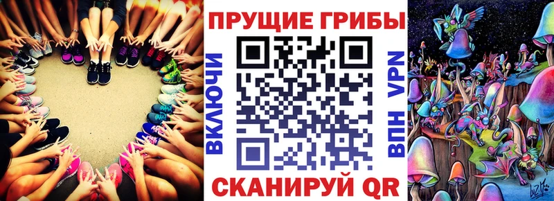 где найти наркотики  кракен ONION  Галлюциногенные грибы Cubensis  Павловский Посад 